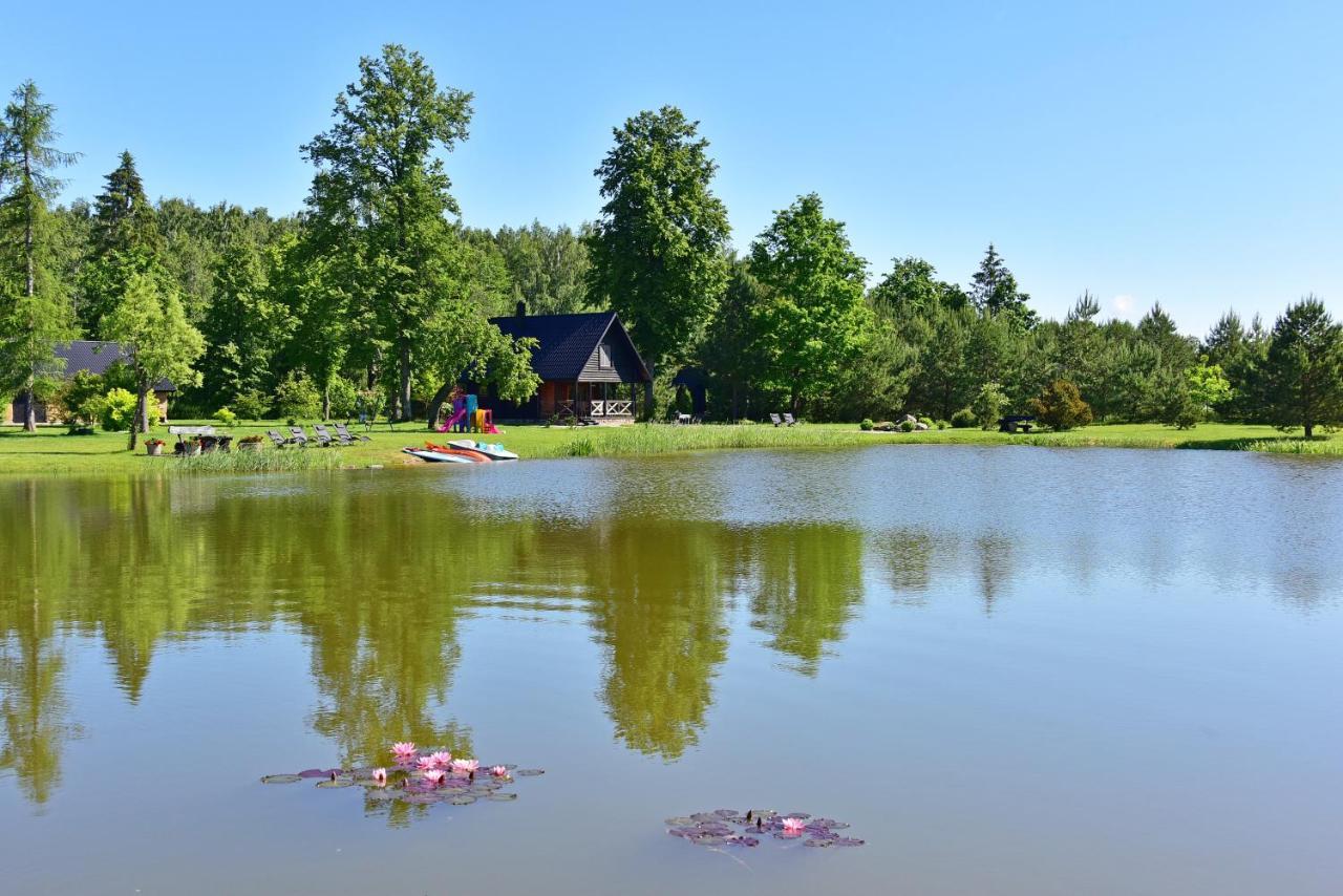 Vila Loreta - Namelis Su Pirtimi Dudoryne Exteriör bild