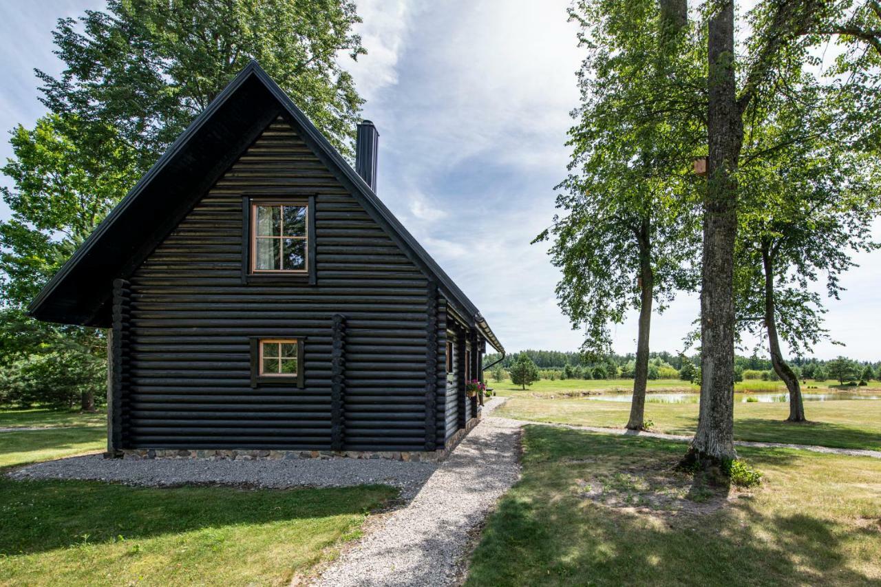 Vila Loreta - Namelis Su Pirtimi Dudoryne Exteriör bild